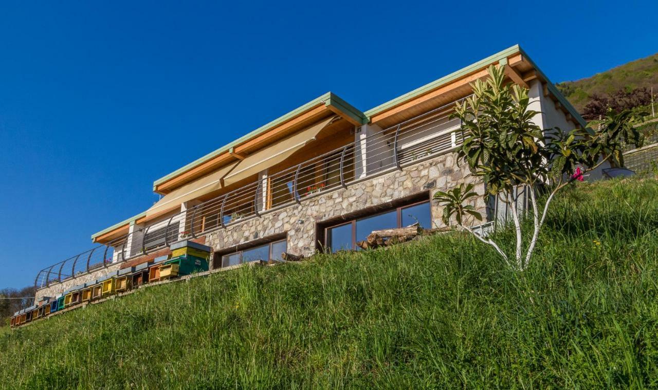 פיזונייה Agriturismo Alveare Sul Lago מראה חיצוני תמונה
